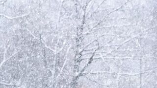 The Shy Snow Woman and the Cursed Ring - id | Trending HD Video 121