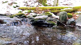 Winter Coat - close up on stream in winter | Trending HD Video