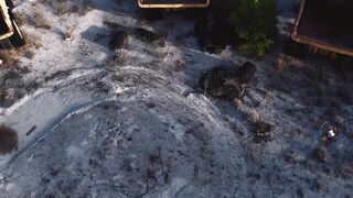 Silly Smile Live Wallpaper 4K - id | Trending HD Video 47
