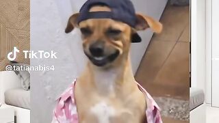 Funny video TikTok viral fyp viral fyp viral