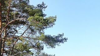 ✅Música ambiente Reiki para meditação e relaxamento- Equilibrar os chakras e lei da atração- Fragmentos #89