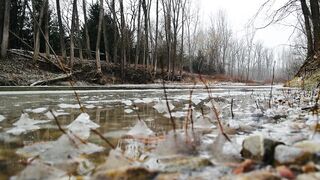 Winter solstice - view of the icy river in the forest | Trending HD Video