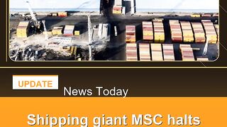 Shipping-giant-MSC-halts-Gulf-exports-amid-war-risks