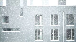Winterhalter - id | Trending HD Video 70