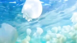 Beautiful nature 273