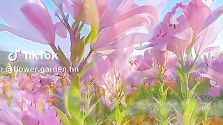 Beautiful the scenery