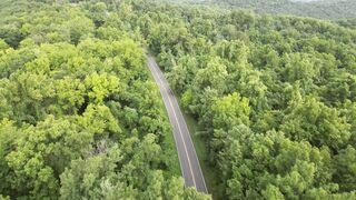 4K Wallpaper - aerial view of lush forest road | Trending HD Video