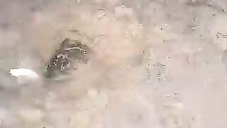 Looking for a fish or eel.. Thanks for watching..!! 47