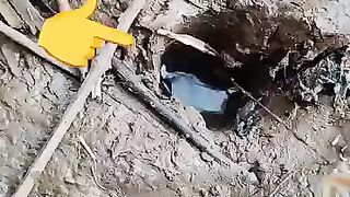 Looking for a fish or eel.. Thanks for watching..!! 49