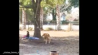 Funny Videos Part 86