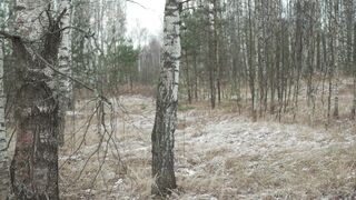 The Shy Snow Woman and the Cursed Ring - id | Trending HD Video 124