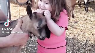 Vidéo drôle 68