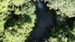 4K Wallpaper - drone view of lush green forest and waterfall | Trending HD Video