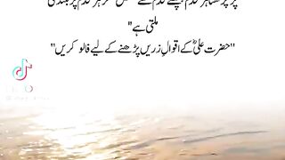 True Words 19