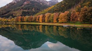Wallpaper hanging - scenic autumn lake reflection in austria | Trending HD Video