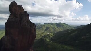 Epic Battle Between Lions, Black Mamba and Eagle.mp4.2026