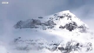 Bobcat Hunting in Winter.mp4.2026