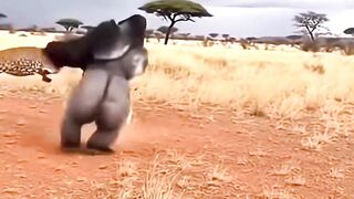 Most Unlucky Animals Caught on Camera 2