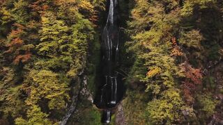 Wallpaper removal - aerial view of autumn waterfall in lush forest | Trending HD Video