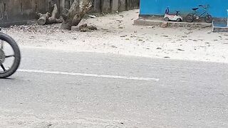Suasana 6