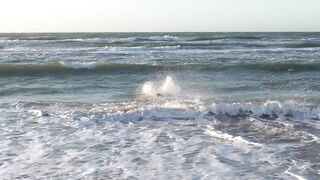 Funnyfuzzy - id | Trending HD Video 147