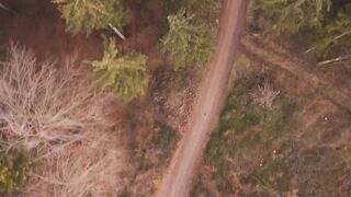 WallPics - 4K Wallpapers - aerial view of tranquil woodland path | Trending HD Video