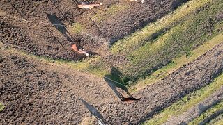 Wallpaper removal - aerial view of grazing horses in verdant fields | Trending HD Video