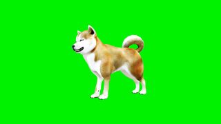 Funnyfuzzy - id | Trending HD Video 152