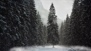 Winter Coat - id | Trending HD Video 71