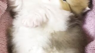 kitty is adorable ????????????