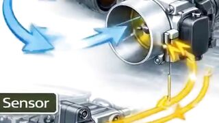 The Machine's Breathing Regulator That's Rarely Realized!