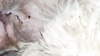 Rengo's Operation Scar - sorry guys.