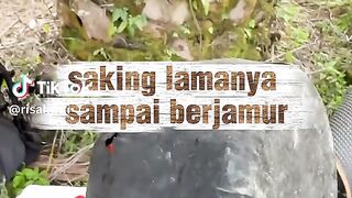 Cari_ikan 4