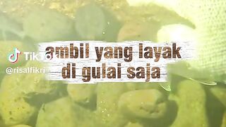Cari_ikan 6