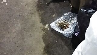 Malah ngumpet di perut mama nya