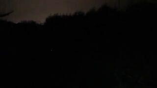 Raucous Foxes lead to 2 close feeds.mp4.2026