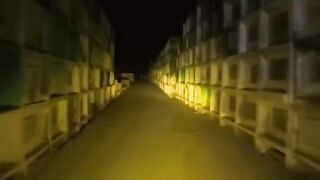 Night Ride at the Cemetery