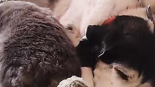 How Minnie Mou keeps warm in winter