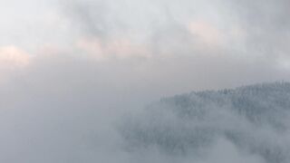 Winterhalter - id | Trending HD Video 73