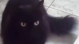 What's he up to?