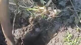 Looking for a fish or eel.. Thanks for watching..!! 50