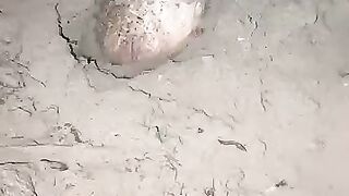 Looking for a fish or eel... Thanks for watching..!! 25