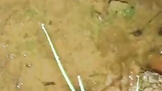 Looking for a fish or eel.. Thanks for watching..!! 52