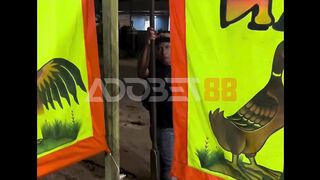 Kirain diajak ribut gara-gara diliatin.