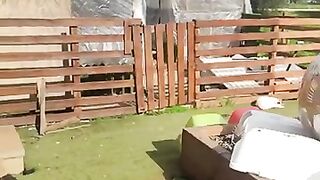 Stray cat Baldrick