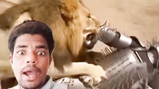 ভয়ংকর ভাবে বাঘের আক্রমণ