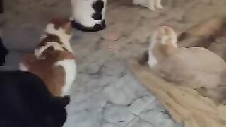 They're Afraid
