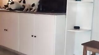 My boy 8