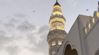 birds flying over a mosque at sunset | Professional HD Video