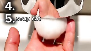 Top 5 cat AI video
